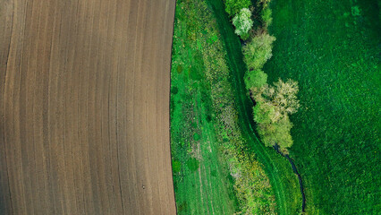 Rich Green and Brown Earth Textures