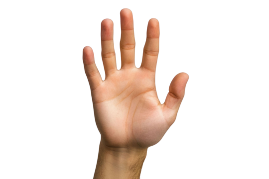 Hand show five finger isolated on white background PNG