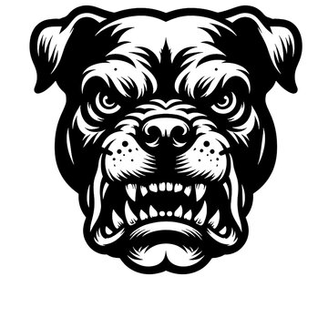 pitbull head vector