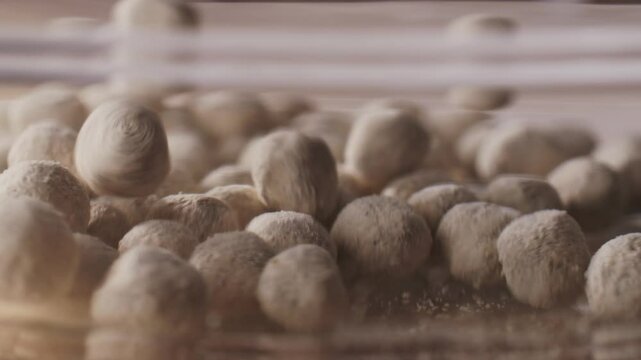 Organic tapioca pearls close-up in a bowl on a wooden table, asian dessert dish, chinese traditional drink, dry pearl.