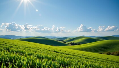 Obraz premium Rolling Green Hills Under a Sunny Sky