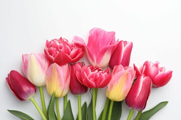 Beautiful tulips on white background, flat lay