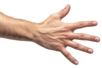 Hand show five finger isolated on white background PNG