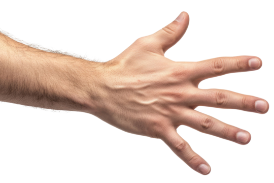 Hand show five finger isolated on white background PNG