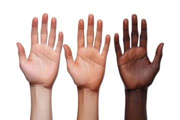 Hand show five finger isolated on white background PNG