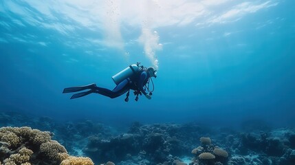 Fototapeta premium Diver Exploring Vibrant Coral Reef Beneath Crystal Clear Ocean Water