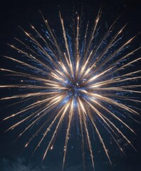 Fototapeta premium Brilliant blue firework burst, intricate detail, night sky , celebration, night