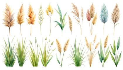 Elegant Watercolor Illustrations of Grass and Plant Elements for Nature and Design Projects