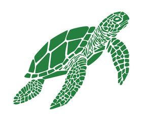 Vector illustration of a cute cartoon turtle. Smiling green turtle character with a brown shell, isolated on white background. Perfect for children's books, educational materials, greeting cards