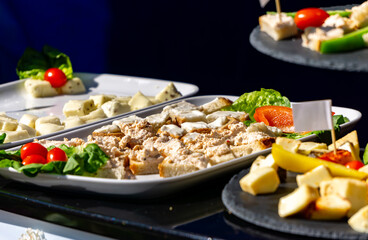 Buffet with various appetizers – plates full of cheeses, pastes, fresh vegetables and crispy bread. Perfect for a party or banquet, everything aesthetically presented. feast refreshments. snacks.