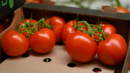 Fresh ripe tomatoes packed in a cardboard box, ready for distribution or market sale, highlighting organic produce and sustainable farming practices.