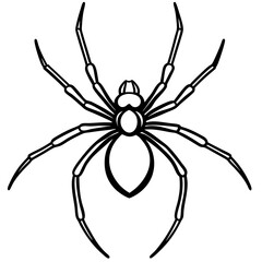 Elegant One-Line Black Widow Spider Illustration