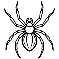 Elegant One-Line Black Widow Spider Illustration