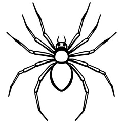 Obraz premium Elegant One-Line Black Widow Spider Illustration