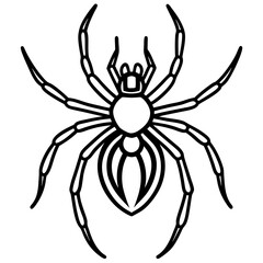 Elegant One-Line Black Widow Spider Illustration