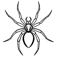 Elegant One-Line Black Widow Spider Illustration