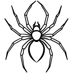 Elegant One-Line Black Widow Spider Illustration