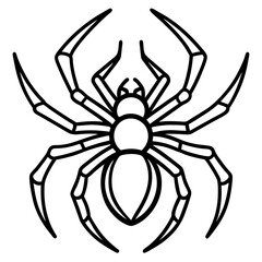 Elegant One-Line Black Widow Spider Illustration