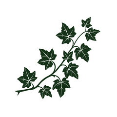 Ivy Branch Green Isolated vector illustration