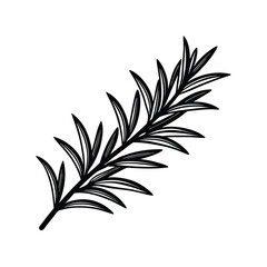 Rosemary Branch Green Herb vector illustration