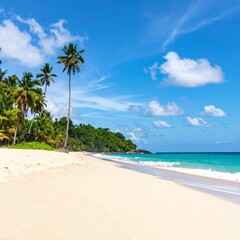 Beautiful tropical beach banner. White sand and coco palms travel tourism wide panorama back 