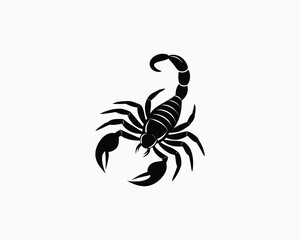 Obraz premium scorpion tattoo Vector illustration design