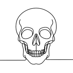 Skull, vector, black line drawing, minimalistic, single line, simple line, isolated, transparent background 