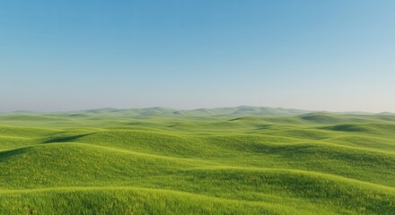 Obraz premium A vast, open field of grass with a clear blue sky above