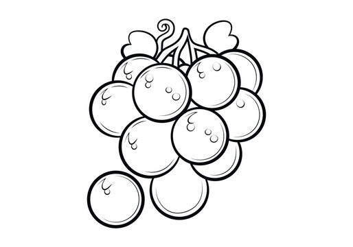 recommend clip art: Grapes outline Vector Illustration, Coloring Page for Kids