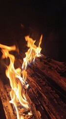 Close up of fire burning with swirling orange flames and blackened wood Dynami