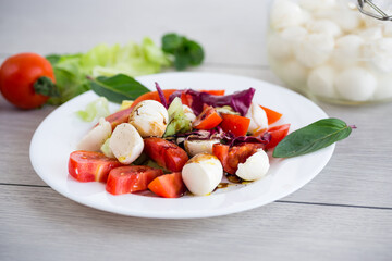 Fresh vegetables and mozzarella cheese in a plate
