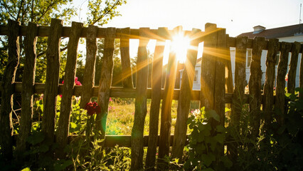 Obraz premium Sunlight through a rustic wooden fence, evoking a sense of warmth and serenity. The sun's rays cast a beautiful glow through the gaps in the fence, illuminating the scene
