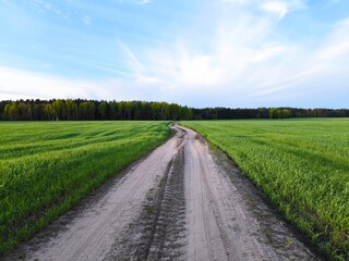 Obraz premium rural road in the middle of a green meadow. Beautiful green meadow, surrounded by a spring forest. Bright, lush, green natural landscape.