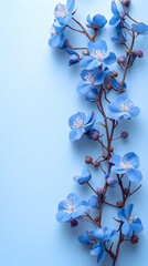 A delicate branch of blue blooms with white stamens cascades down a light blue background