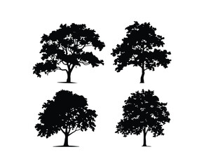 Fototapeta premium Hornbeam Tree Silhouette Isolated Vector Set