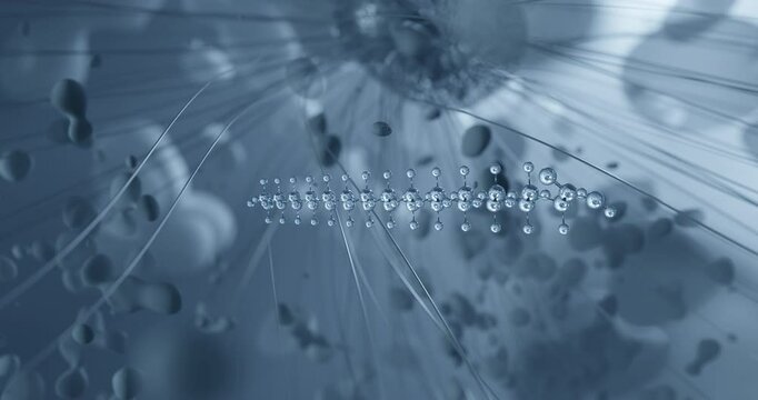 Looped video of Montanic acid, e912, rotating molecular 3D ball-and-stick model