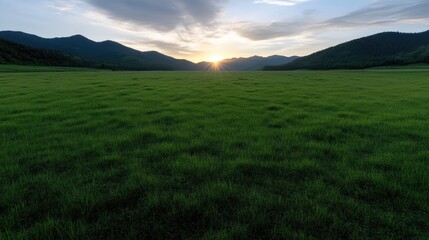 Fototapeta premium Lush green meadow at sunrise