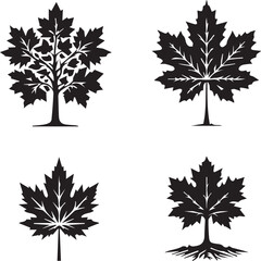 Vector Illustrations of Maple Tree Silhouettes