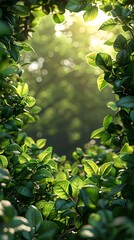 Vibrant natural greenery glowing in sunshine high resolution wallpaper
