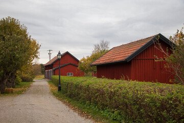 Rustic red barns and green hedge along a quiet countryside road in autumn, Stockholm, Sweden