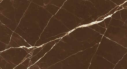 Brown marble texture with white veins for backgrounds and design elements