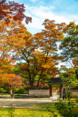 Huwon the Secret Garden inner part of Changdeokgung Palace with Autumn season background, Seoul city,  South Korea