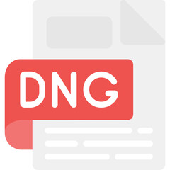 DNG Flat Icon