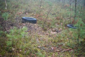 stare porzucone opony w lesie 