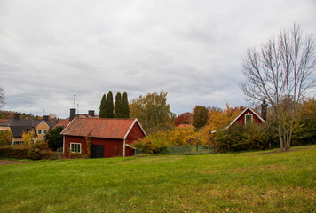 Obraz premium Swedish red wooden houses in autumn countryside landscape near Stockholm. Red wooden houses in green field surrounded by trees with fall foliage in rural area near Stockholm.