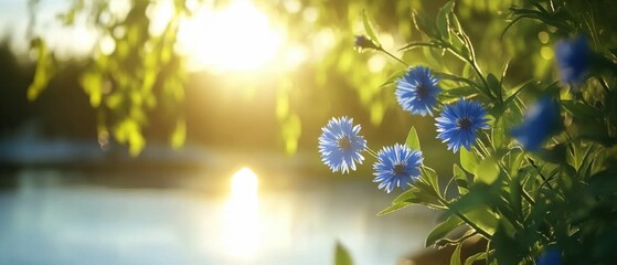 Serene blue cornflowers bloom near tranquil lake under golden sunlight creating a peaceful and idyllic scene capturing the beauty of nature in a soft and dreamy style