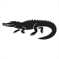 Silhouette of a crocodile on a white background