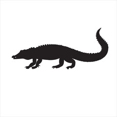 Obraz premium Silhouette of a crocodile on a white background