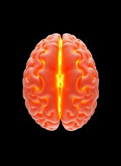 Illustrated Brain MRI on a Dark Background