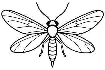 Mayfly Vector Illustration